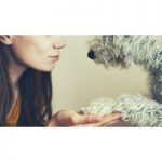 ‘Get Inside Pets’ Heads & Hearts’ Online Course for only £49.00