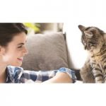 Essential Cat and Kitten Care Course for only £19.00