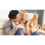 Animal Care Online Course for only £19.00