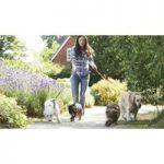 Make Animal Care Your Business Online Course for only £39.00