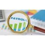 Introduction to Payroll Systems Diploma for only £19.00