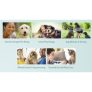 Pet Learning Course Bundle for only £19.00