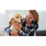 Animal Care Online Diploma for only £19.00