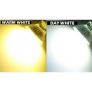 LED GU10 Bulbs – 4-48 Packs for only £12.00