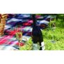 Garden Picnic Bottle and Glass Holders – 1 or 2 for only £5.99