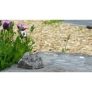 2 x Hide-A-Key Rock Holders for only £5.99