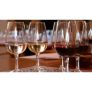 Wine Appreciation Online Course with FREE E-Book for only £15.00